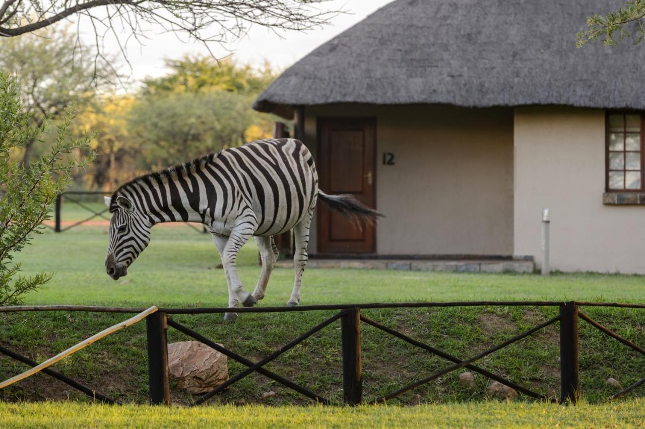 Mongena Private Game Lodge Rust de Winter Extérieur photo