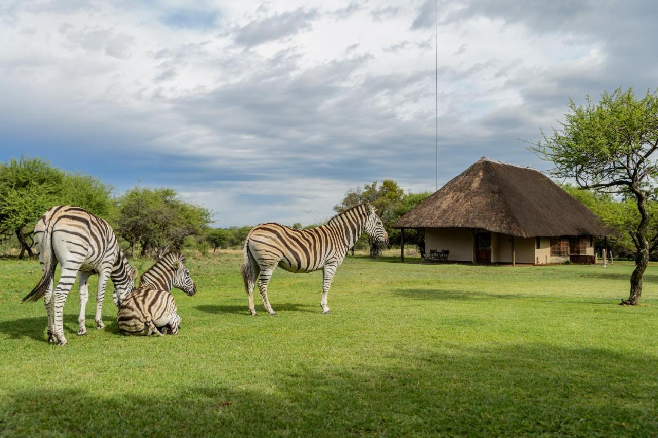 Mongena Private Game Lodge Rust de Winter Extérieur photo